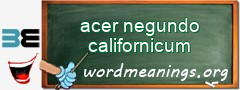 WordMeaning blackboard for acer negundo californicum